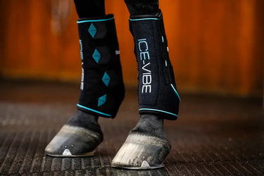 Horseware Ireland Black/Aqua Ice-Vibe Leg Wraps| Online For Equine