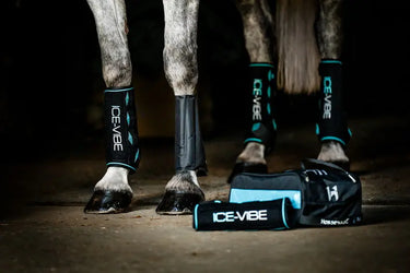 Horseware Ireland Black/Aqua Ice-Vibe Leg Wraps| Online For Equine