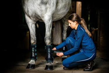 Horseware Ireland Black/Aqua Ice-Vibe Leg Wraps| Online For Equine