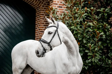 Horseware Ireland Black/Black Horseware Ireland Diamante Flash Bridle| Online For Equine