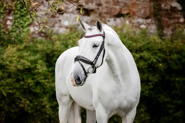 Horseware Ireland Black/Black Horseware Ireland Diamante Flash Bridle| Online For Equine