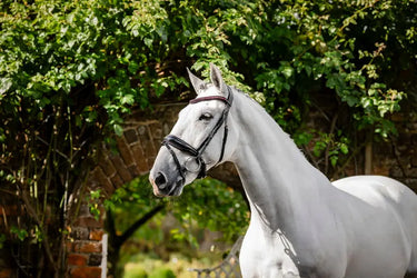 Horseware Ireland Black/Black Horseware Ireland Diamante Flash Bridle| Online For Equine