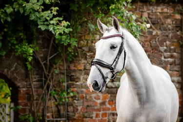 Horseware Ireland Black/Black Horseware Ireland Diamante Flash Bridle| Online For Equine