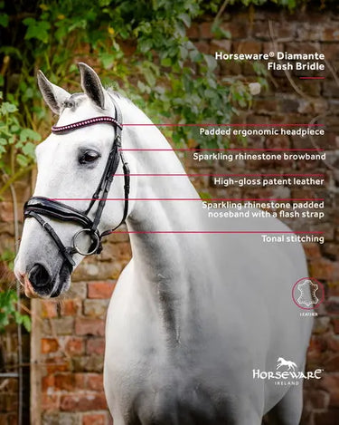 Horseware Ireland Black/Black Horseware Ireland Diamante Flash Bridle| Online For Equine