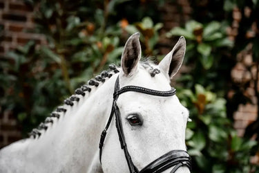 Horseware Ireland Black/Black Horseware Ireland Diamante Flash Bridle| Online For Equine