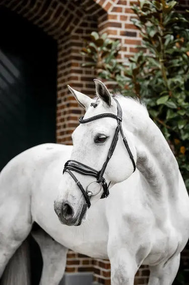 Horseware Ireland Black/Black Horseware Ireland Diamante Flash Bridle| Online For Equine