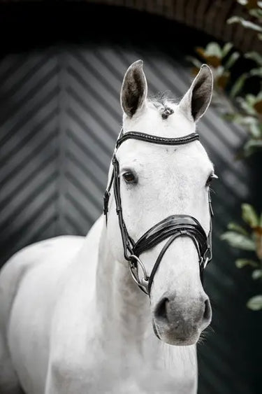 Horseware Ireland Black/Black Horseware Ireland Diamante Flash Bridle| Online For Equine