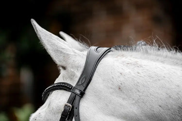 Horseware Ireland Black/Black Horseware Ireland Diamante Flash Bridle| Online For Equine