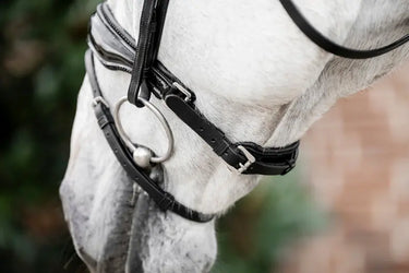 Horseware Ireland Black/Black Horseware Ireland Diamante Flash Bridle| Online For Equine