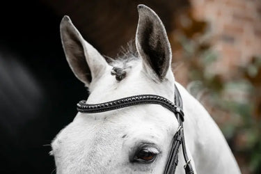 Horseware Ireland Black/Black Horseware Ireland Diamante Flash Bridle| Online For Equine