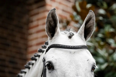 Horseware Ireland Black/Black Horseware Ireland Diamante Flash Bridle| Online For Equine