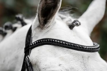 Horseware Ireland Black/Black Horseware Ireland Diamante Flash Bridle| Online For Equine