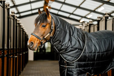 Horseware Ireland Black/Black & Silver Horseware Ireland Easy-Layer Stable Hood 100g| Online For Equine