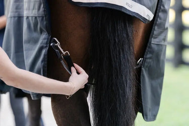 Horseware Ireland Black Elasticated Leg Straps| Online For Equine