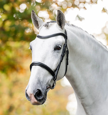 Horseware Ireland Black Horseware Ireland Cavesson Bridle| Online For Equine