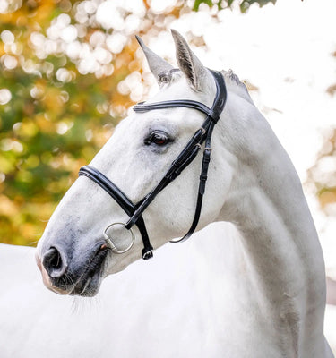 Horseware Ireland Black Horseware Ireland Cavesson Bridle| Online For Equine
