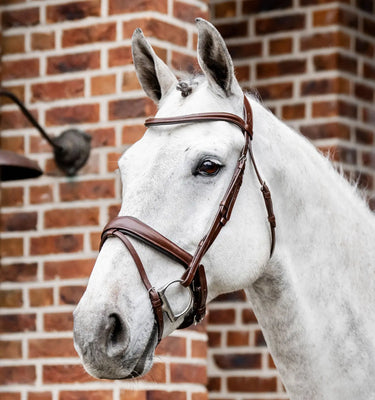 Horseware Ireland Black Horseware Ireland Dressage Flash Bridle| Online For Equine