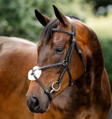 Horseware Ireland Black Horseware Ireland Figure 8 Grackle Bridle| Online For Equine