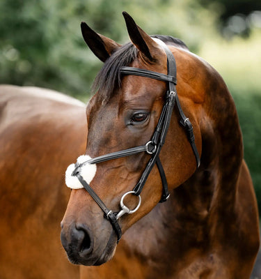 Horseware Ireland Black Horseware Ireland Figure 8 Grackle Bridle| Online For Equine