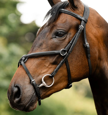 Horseware Ireland Black Horseware Ireland Figure 8 Grackle Bridle| Online For Equine