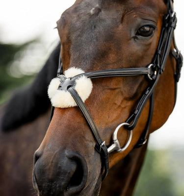 Horseware Ireland Black Horseware Ireland Figure 8 Grackle Bridle| Online For Equine