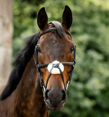 Horseware Ireland Black Horseware Ireland Figure 8 Grackle Bridle| Online For Equine