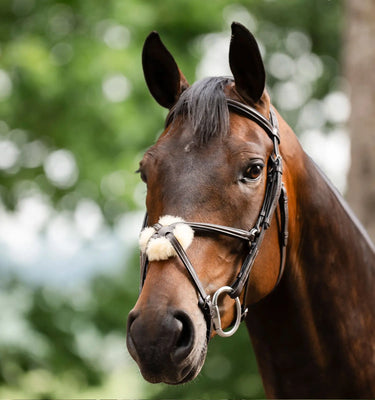 Horseware Ireland Black Horseware Ireland Figure 8 Grackle Bridle| Online For Equine