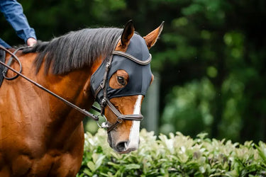 Horseware Ireland Black Horseware Ireland Ionic Calming Face Mask| Online For Equine
