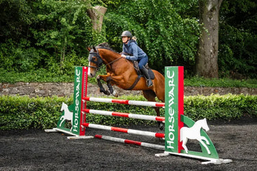 Horseware Ireland Black Horseware Ireland Ionic Calming Face Mask| Online For Equine