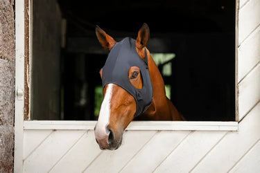 Horseware Ireland Black Horseware Ireland Ionic Calming Face Mask| Online For Equine