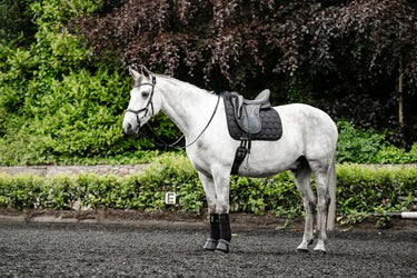 Horseware Ireland Black Horseware Ireland Ionic Dressage Saddle Pad| Online For Equine