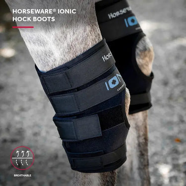 Horseware Ireland Black Horseware Ireland Ionic Hock Boots Pair| Online For Equine