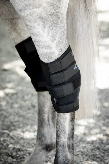 Horseware Ireland Black Horseware Ireland Ionic Hock Boots Pair| Online For Equine