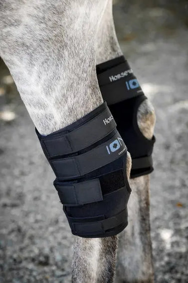 Horseware Ireland Black Horseware Ireland Ionic Hock Boots Pair| Online For Equine
