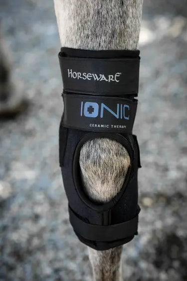 Horseware Ireland Black Horseware Ireland Ionic Hock Boots Pair| Online For Equine