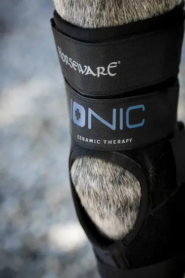 Horseware Ireland Black Horseware Ireland Ionic Hock Boots Pair| Online For Equine