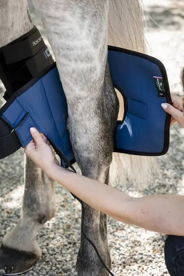 Horseware Ireland Black Horseware Ireland Ionic Hock Boots Pair| Online For Equine