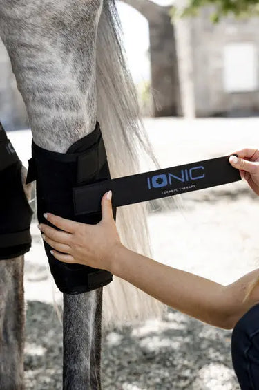Horseware Ireland Black Horseware Ireland Ionic Hock Boots Pair| Online For Equine