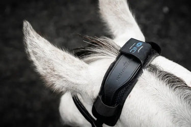 Horseware Ireland Black Horseware Ireland Ionic Poll Cover| Online For Equine