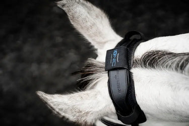 Horseware Ireland Black Horseware Ireland Ionic Poll Cover| Online For Equine