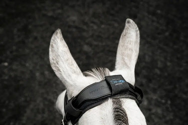 Horseware Ireland Black Horseware Ireland Ionic Poll Cover| Online For Equine