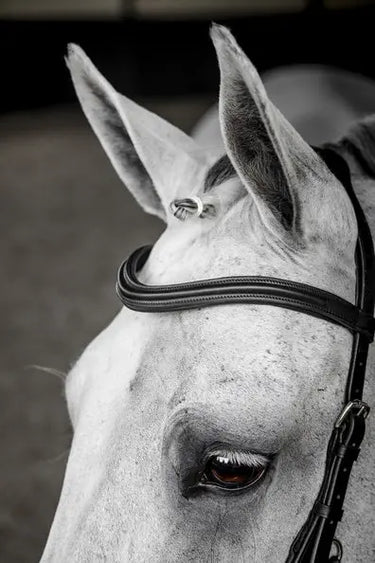 Horseware Ireland Black Horseware Ireland Micklem Deluxe Competition Bridle| Online For Equine