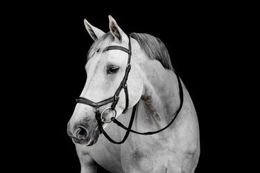 Horseware Ireland Black Horseware Ireland Micklem Deluxe Competition Bridle| Online For Equine