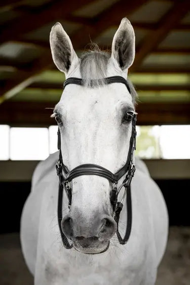 Horseware Ireland Black Horseware Ireland Micklem Deluxe Competition Bridle| Online For Equine