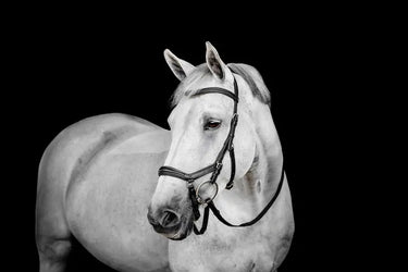 Horseware Ireland Black Horseware Ireland Micklem Deluxe Competition Bridle| Online For Equine