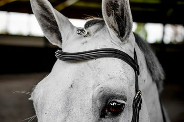 Horseware Ireland Black Horseware Ireland Micklem Deluxe Competition Bridle| Online For Equine