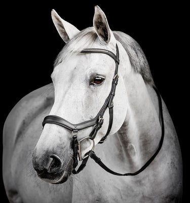 Horseware Ireland Black Horseware Ireland Micklem Diamante Competition Bridle| Online For Equine