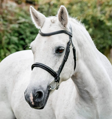 Horseware Ireland Black Horseware Ireland Pony Cavesson Bridle| Online For Equine