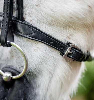 Horseware Ireland Black Horseware Ireland Pony Cavesson Bridle| Online For Equine