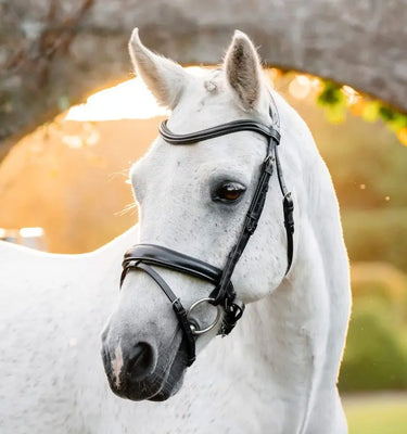 Horseware Ireland Black Horseware Ireland Pony Flash Bridle| Online For Equine